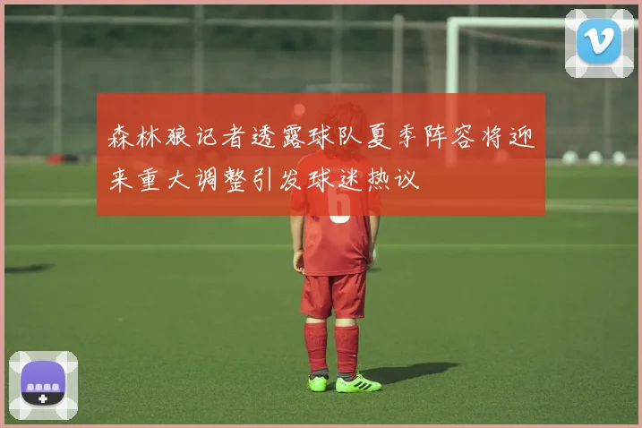 森林狼记者透露球队夏季阵容将迎来重大调整引发球迷热议