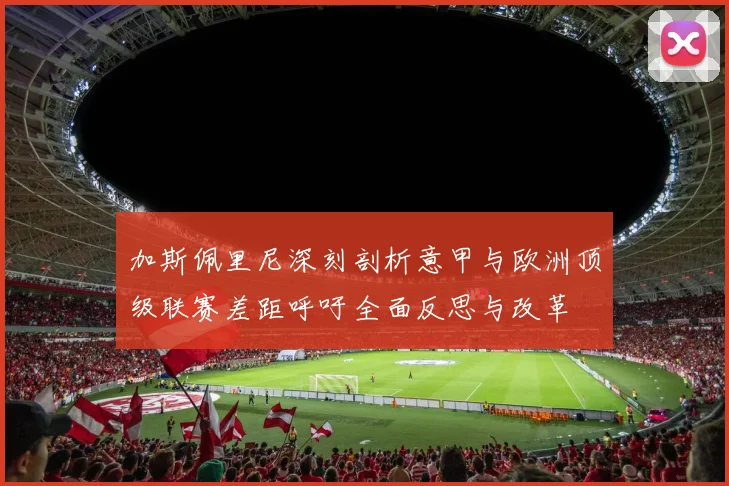 加斯佩里尼深刻剖析意甲与欧洲顶级联赛差距呼吁全面反思与改革