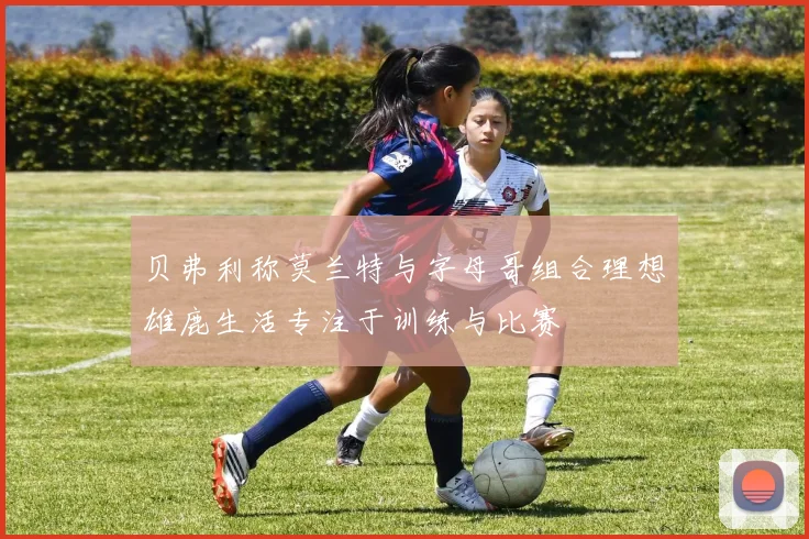 贝弗利称莫兰特与字母哥组合理想雄鹿生活专注于训练与比赛