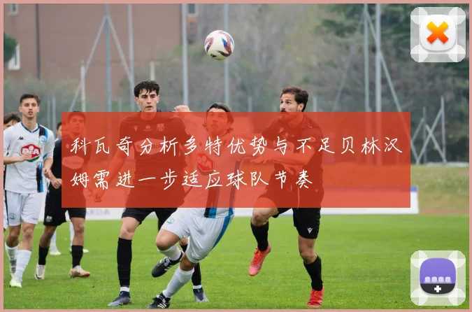 科瓦奇分析多特优势与不足贝林汉姆需进一步适应球队节奏